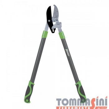 RIBIMEX - TRONCARAMI A...