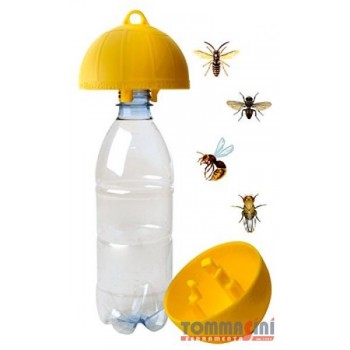 TRAPPOLE 'KILLA '...