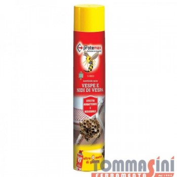 INSETTICIDA SPRAY VESPE...
