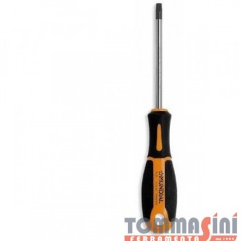 GIRAVITE TORX T.25X100...