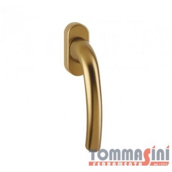 MARTELLINA ALLUM. BRONZATO...