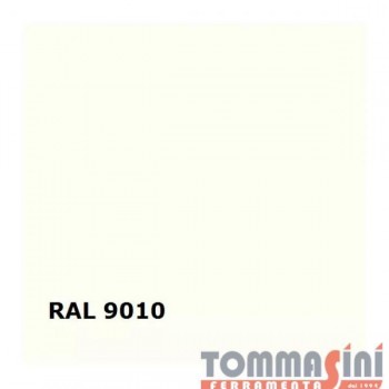 ECOSERVICE - SPRAY ACRILICO...